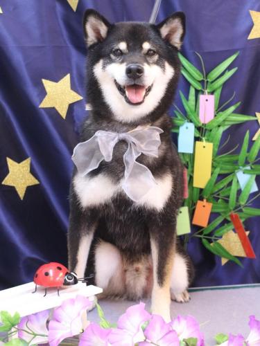 20230705ジローくん